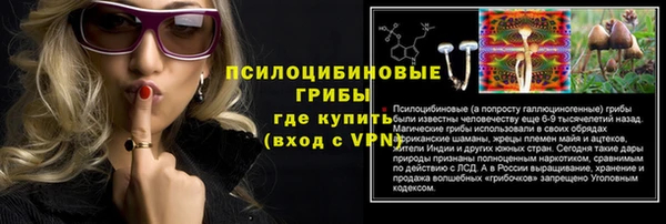 гидра Сосновый Бор