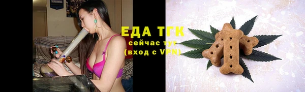индика Верея