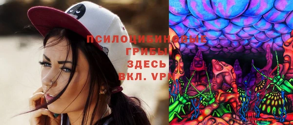 хмурый Верхний Тагил