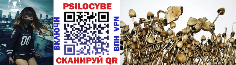 Псилоцибиновые грибы Psilocybe  Новохопёрск 