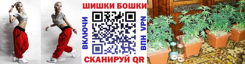 Каннабис Amnesia Новохопёрск